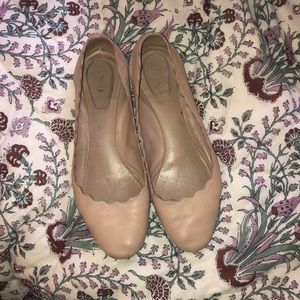 Lauren flats by Chloe